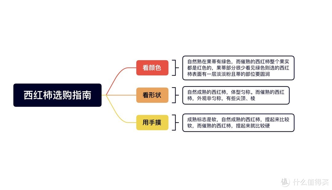 整理了一份xmind·西红柿选购指南