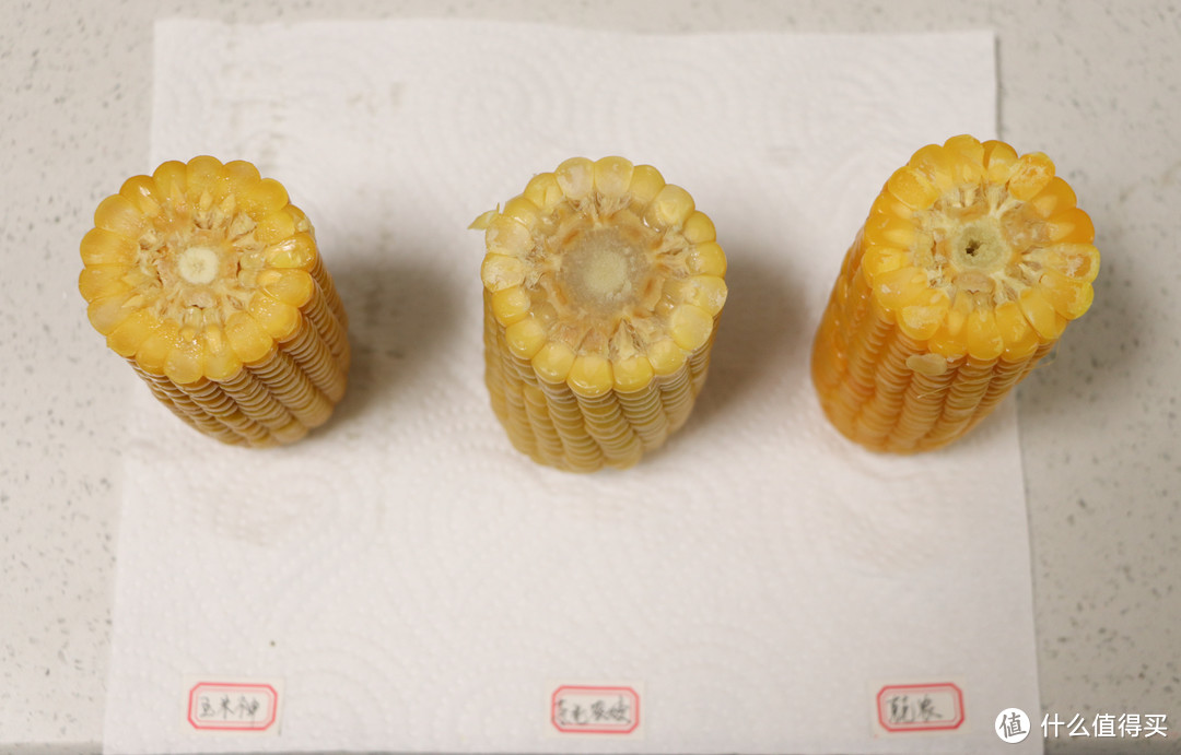 三款糯玉米评测分享：自费150多购入，香甜软糯才是最爱