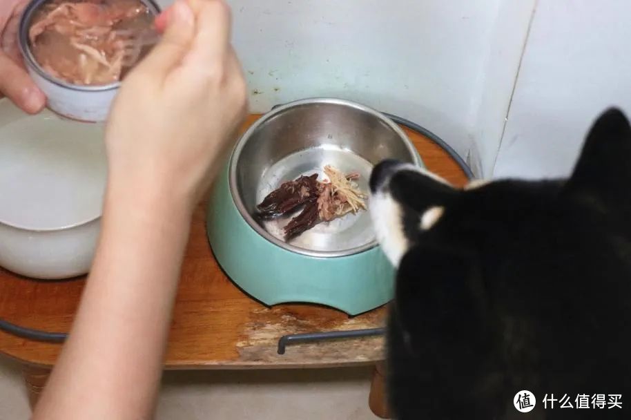 「新」试用 | 新品牌体验之「猫太郎CATTARO」吃肉肉宠物零食汤罐