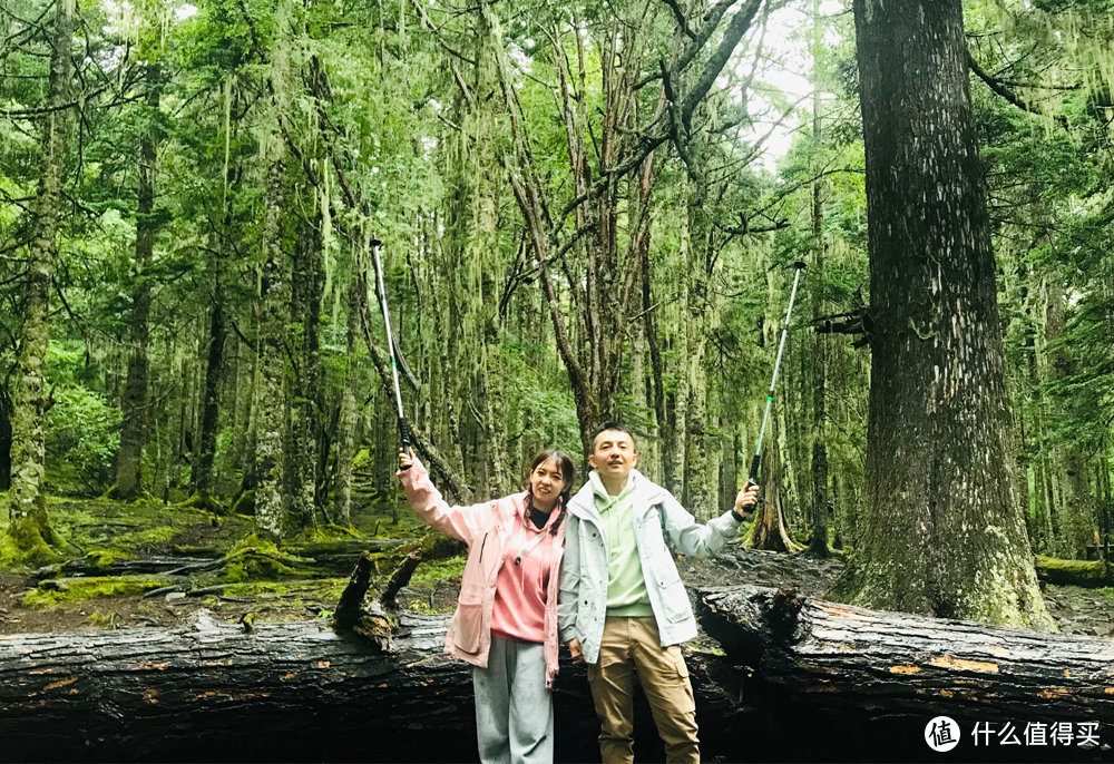 迪庆雨崩登山，香格里拉徒步，丽江古城摆烂：一份强有力的实战攻略