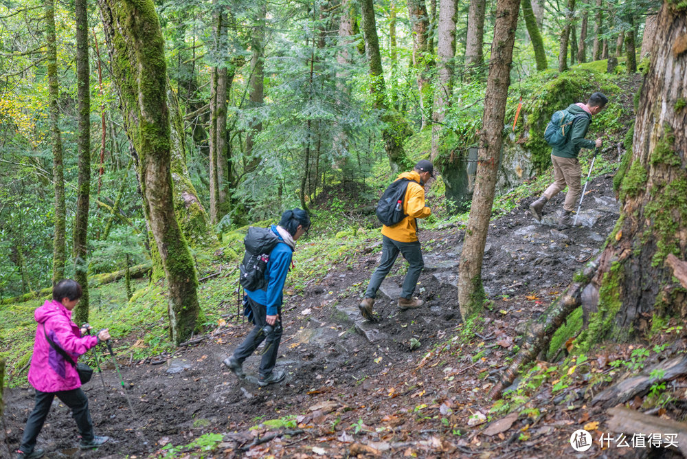 迪庆雨崩登山，香格里拉徒步，丽江古城摆烂：一份强有力的实战攻略