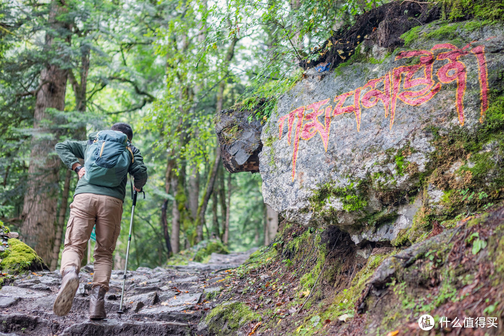 迪庆雨崩登山，香格里拉徒步，丽江古城摆烂：一份强有力的实战攻略