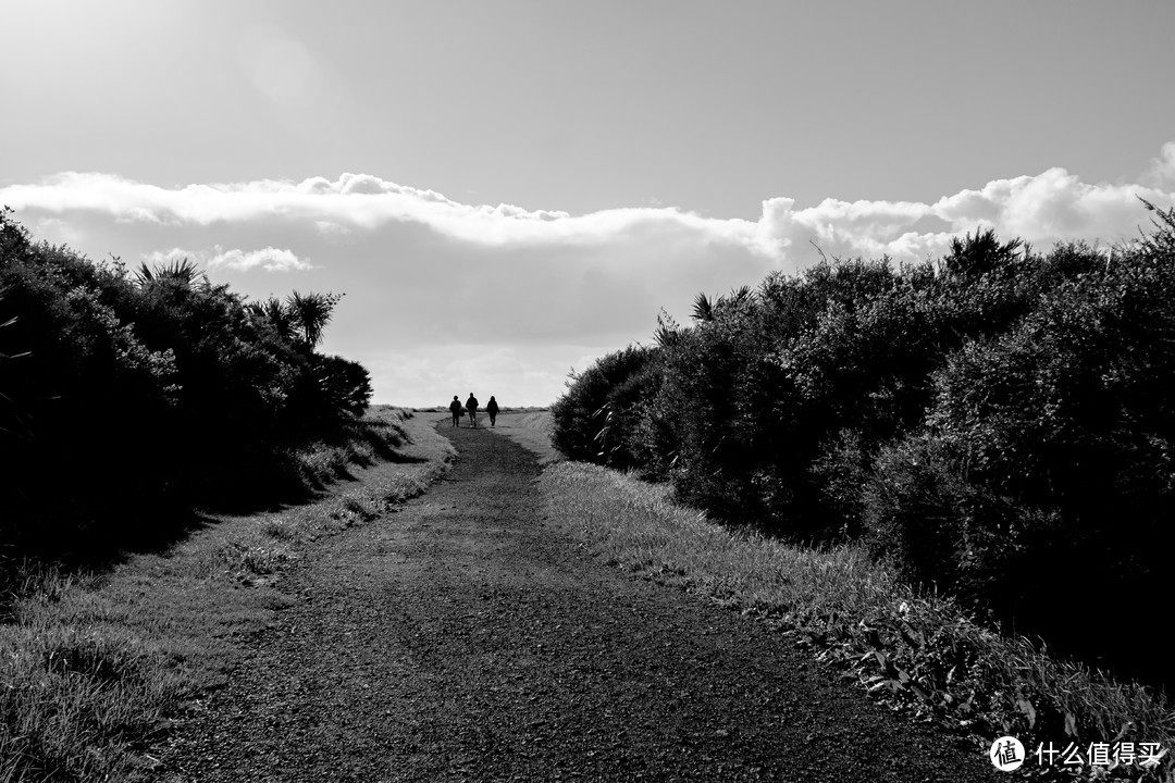 Olympus OM Zuiko 24mm F2