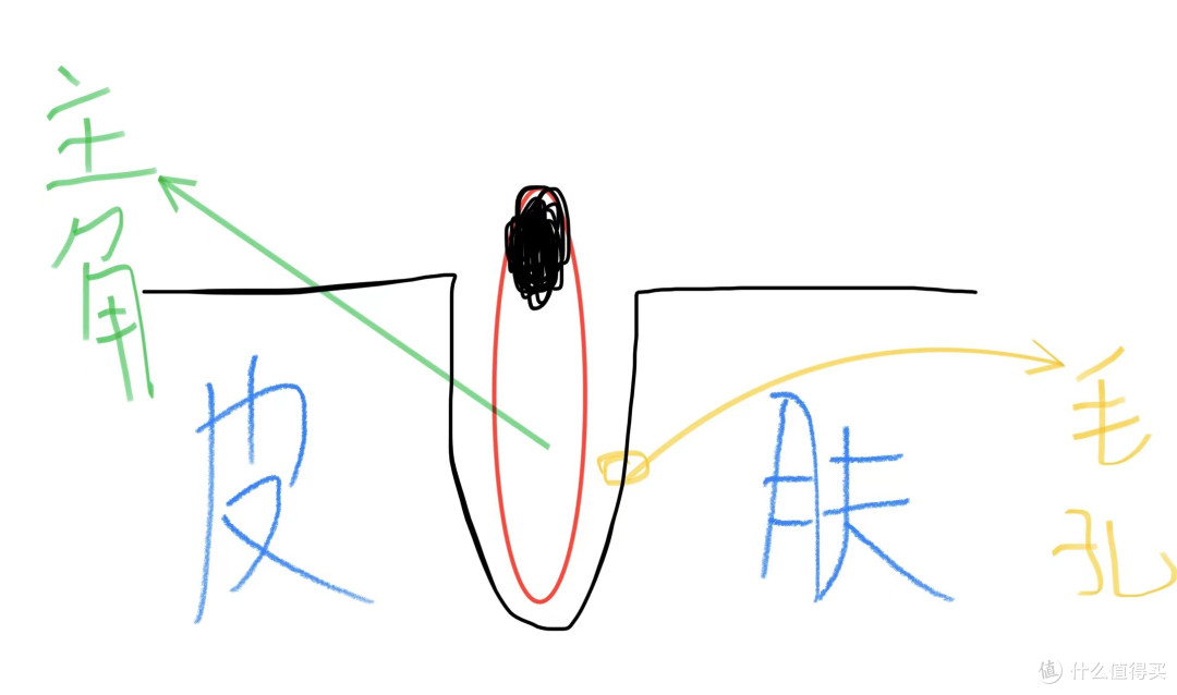 黑头、皮肤差不多大致是这样