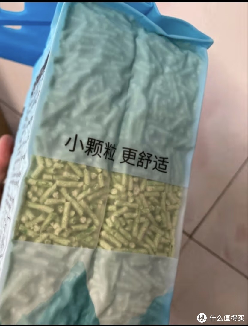 新手养猫怎么选？如何不被猫咪的粑粑臭到个人经验分享