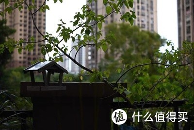 颜值即正义，年轻人的第一台复古相机——尼康Z fc