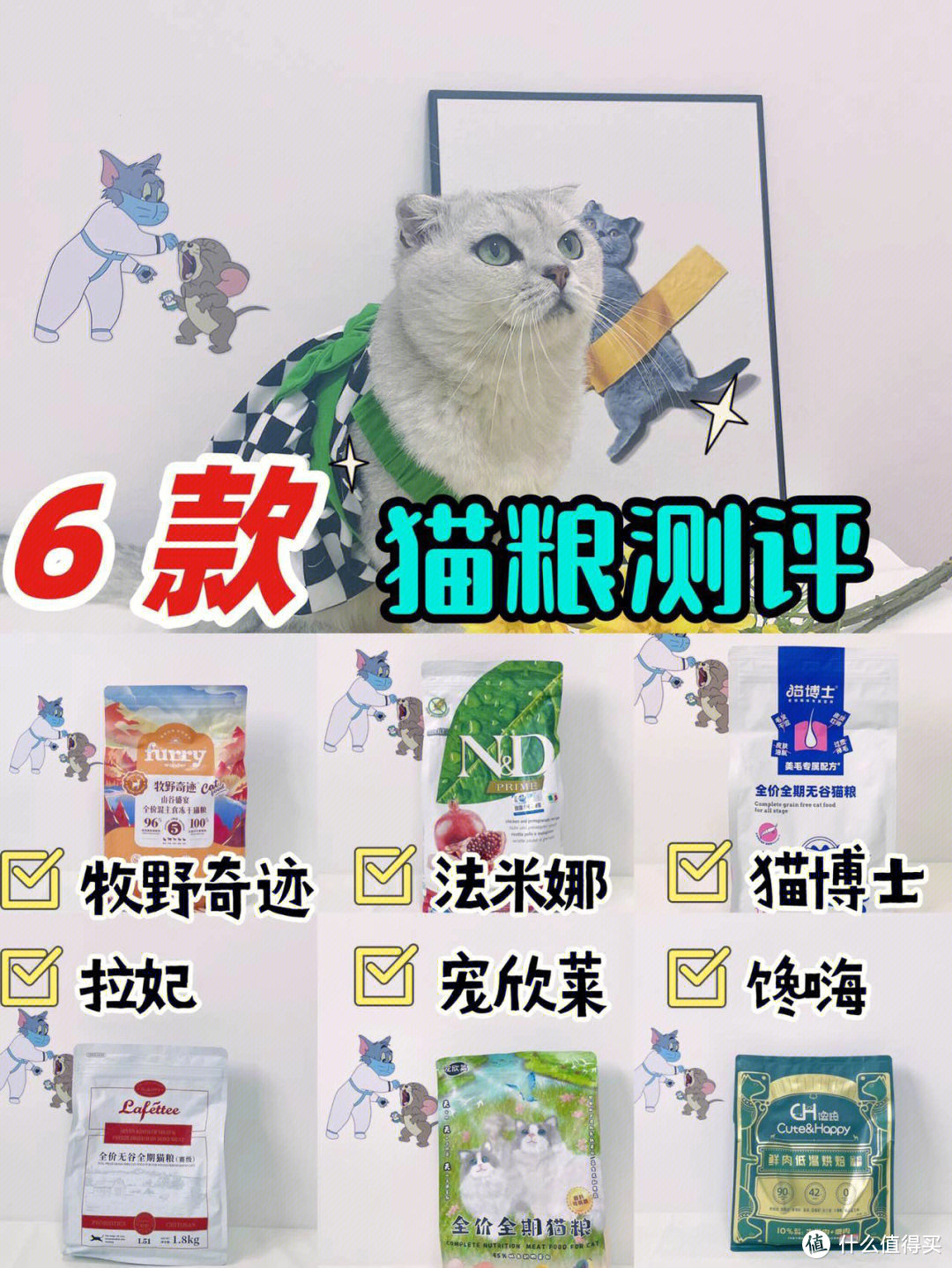 粮大测评新手养猫看过来