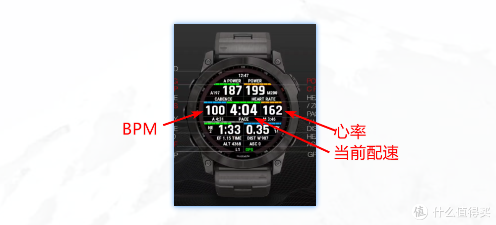 佳明garmin fr255sm两个月的使用心得和一些体会，以及作为一个非自律的人，我是如何坚持下来的