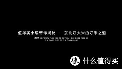 先导片抢先看：东北大米为啥好吃？龙凤山有何传奇？黑土的奥秘究竟为何？米种培育有多不容易？资深吃货家卧底东北米厂1个月，揭开大米之秘～