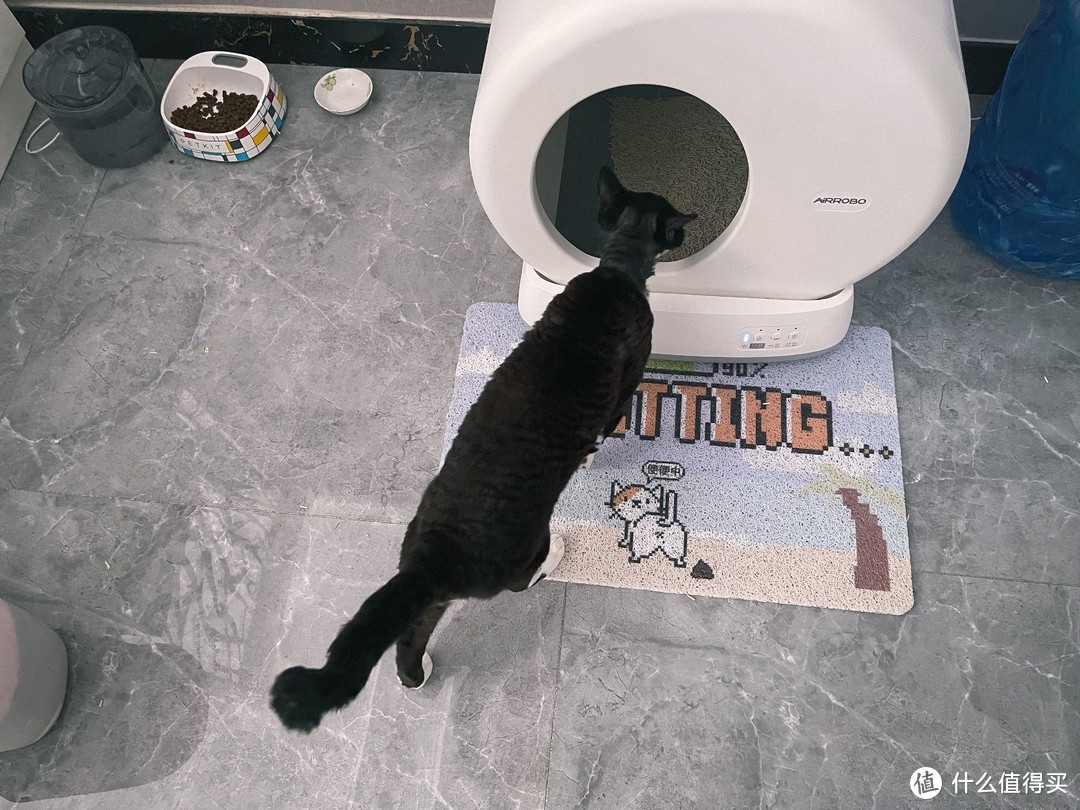 猫猫独自在家，我也能安心出差——OPPO智能猫砂盆、摄像头套件体验