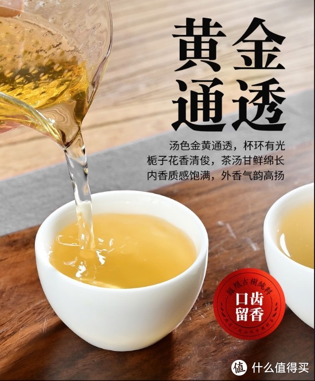 凤凰单丛之大乌叶 寅伯茶坊