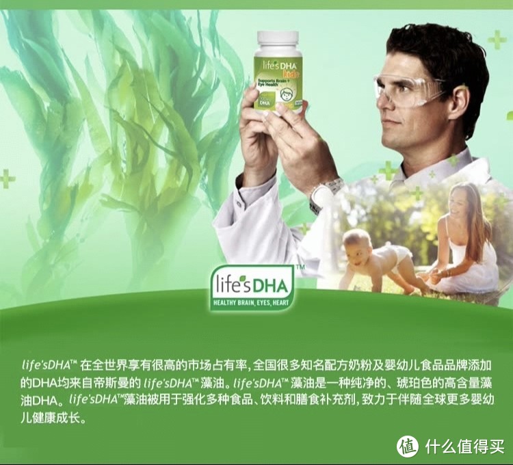 盘点那些有帝斯曼life's认证的藻油DHA商品