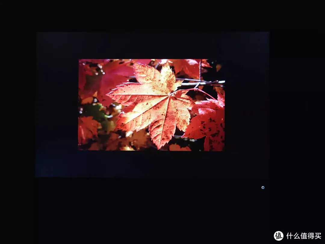 人生中的第一款专业摄影显示器——我选择的是明基（BenQ）SW240