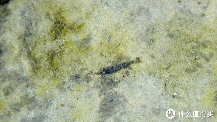 夏日自驾游——海陵岛的风