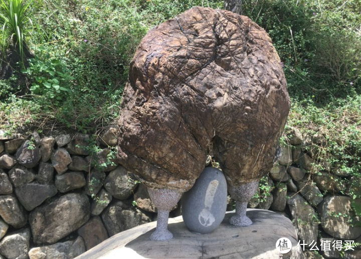 不一样的生日旅行-合欢群峰登山之旅