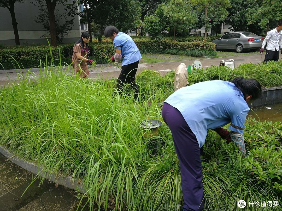 买房子，一定要遵循“3选3不选”原则，不仅住着舒服，还容易升值