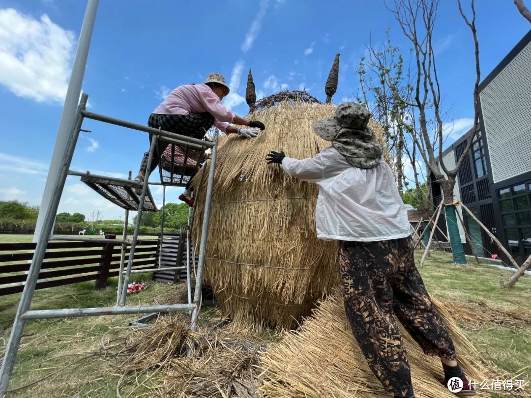 在上海嘉定，怎么样才能度过一个足不出沪的国庆假期