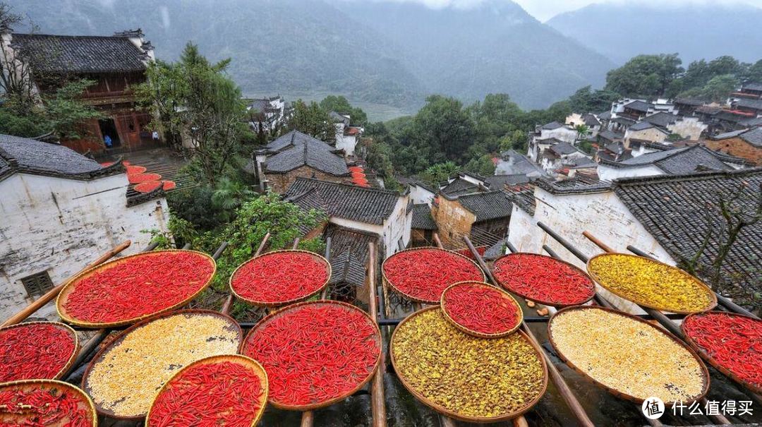 明日重阳节，记得“蒸1糕，煮2样，行3事”，民俗老传统别忘了