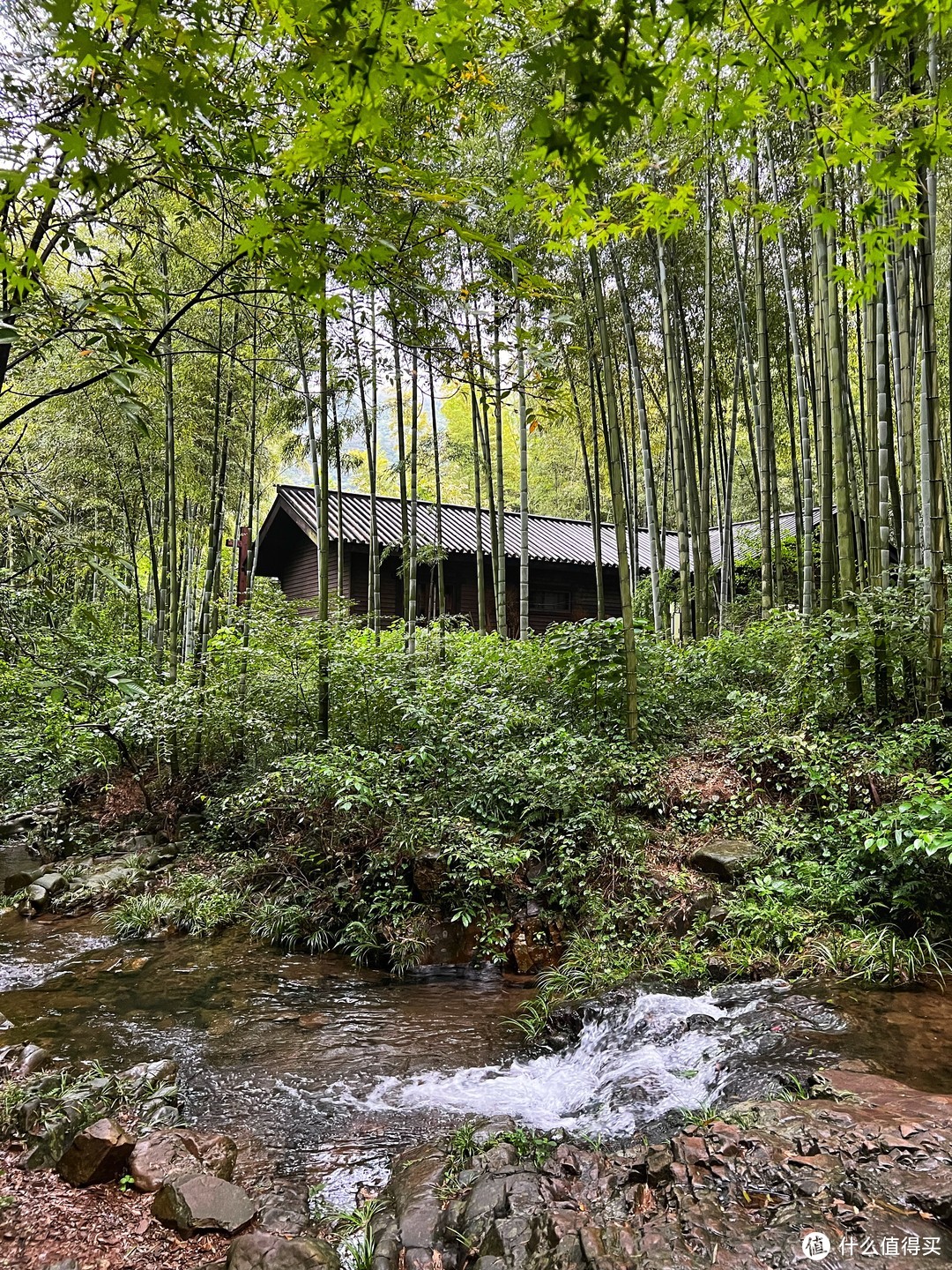 山间有潺潺溪流、形态各异的竹木小屋