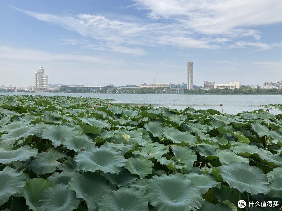 国庆7天乐，南京玄武湖