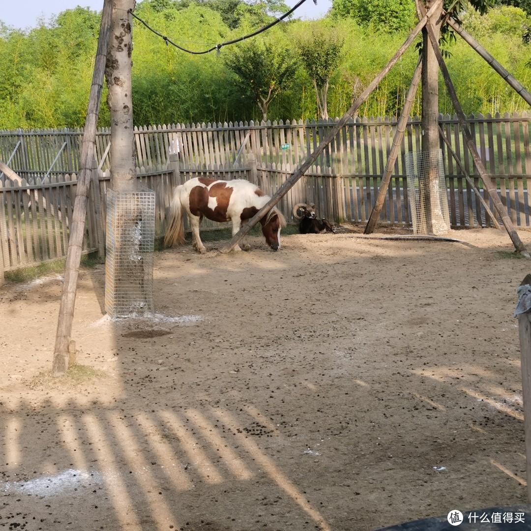 宁波植物园抢了动物园的生意了——十一植物园游记