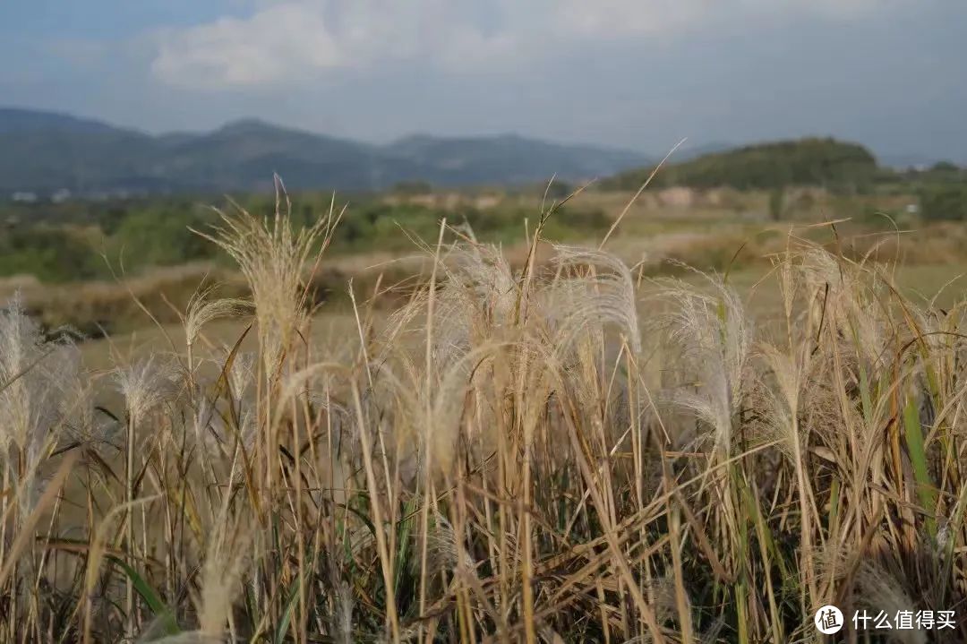 也许，你需要一份「坐地铁游杭州」指南