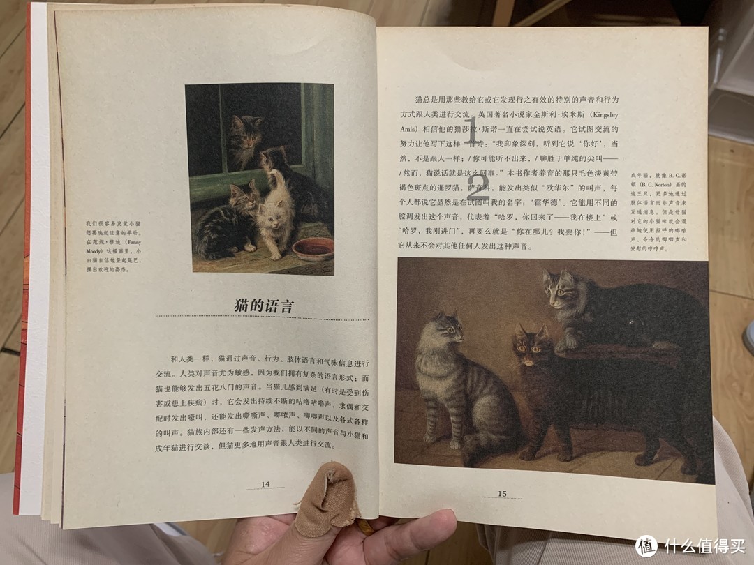 图书馆猿の2022读书计划73：《猫：九十九条命：历史传说和文学中的猫》