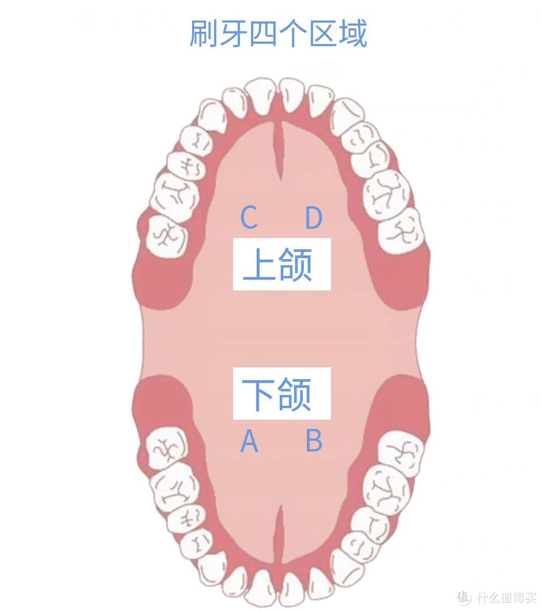 同同家声波牙刷初体验--T9U-C