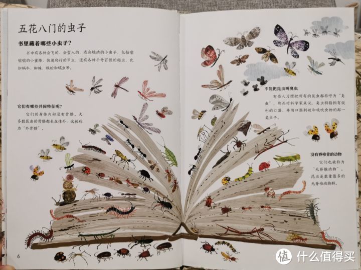 8本昆虫科普绘本，包揽科学、艺术、语文、游戏，让小朋友爱上探索大自然