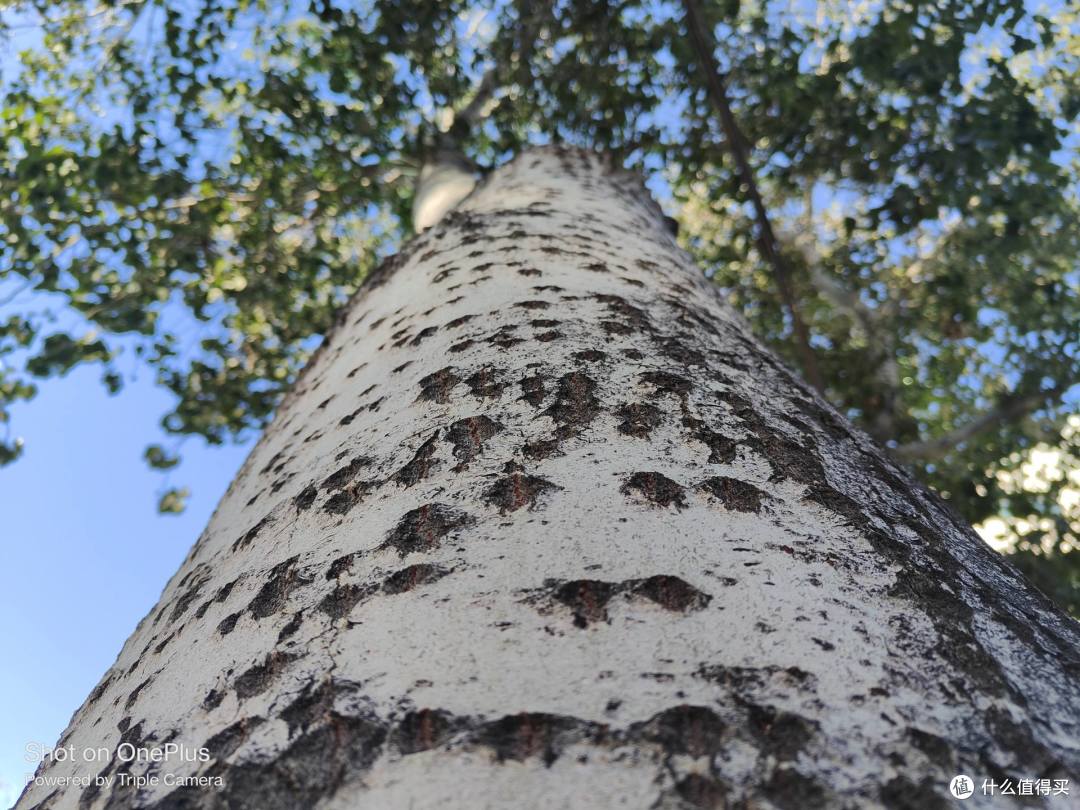一加Ace系列手机挨个数，相信总有一款适合你