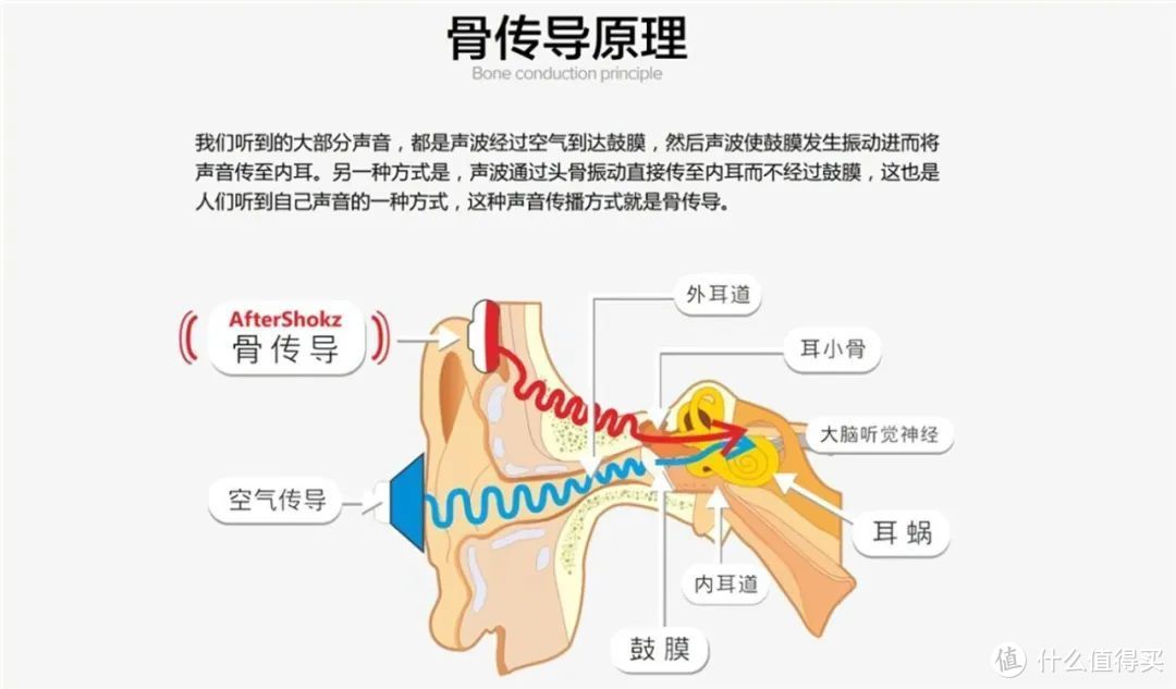 骨传导原理