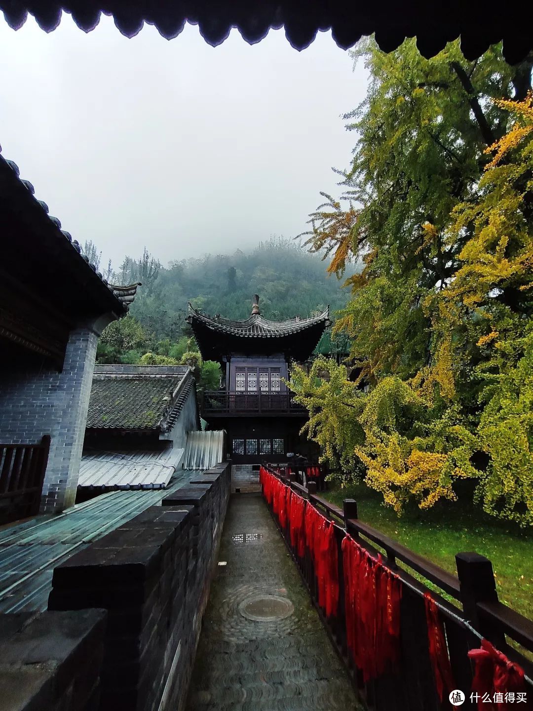 藏在古观音禅寺深处，却无法掩盖的华丽秋景