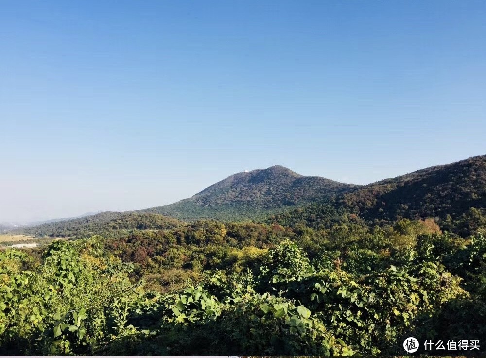 宝华山风景