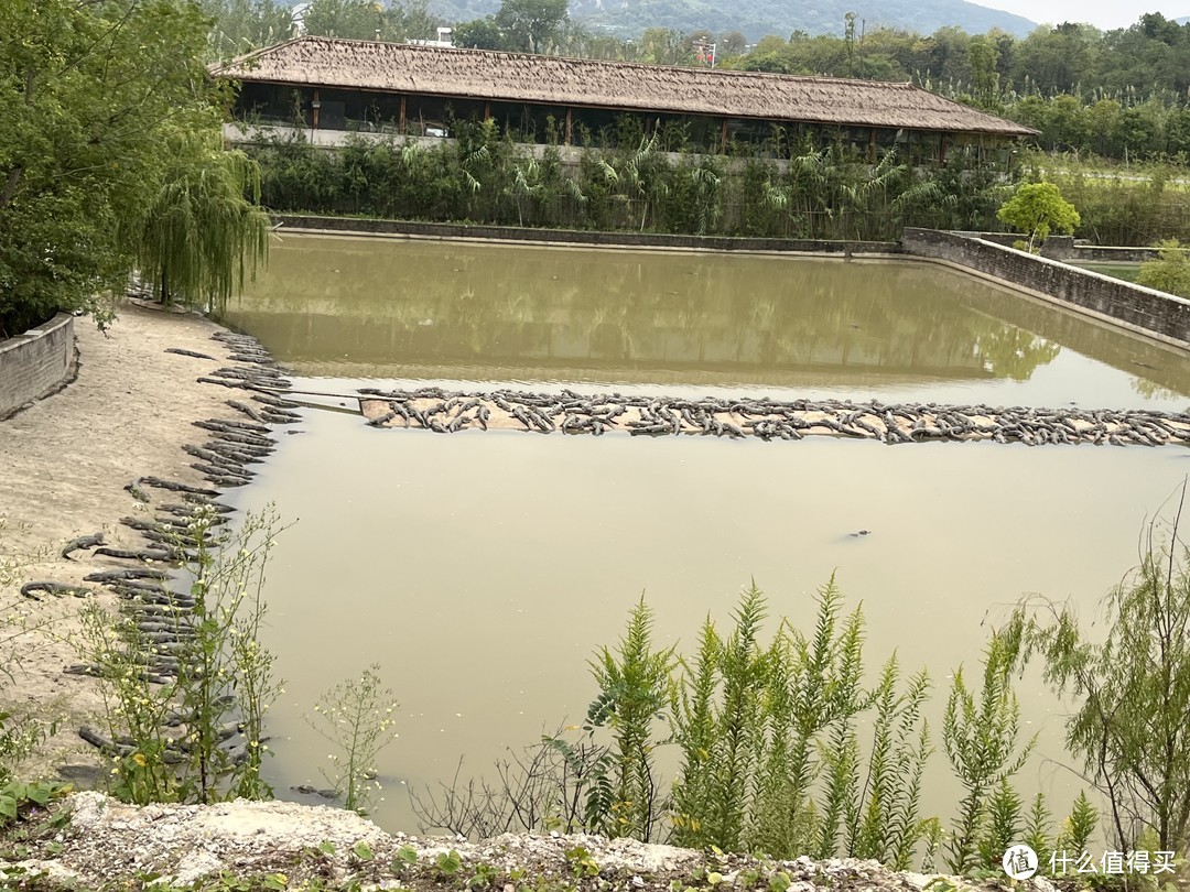 紫清湖野生动物园，遛娃绝佳地～～～