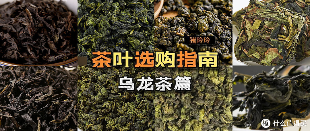 带你秒变铁观音资深茗人雅士，附选购经验，建议收藏