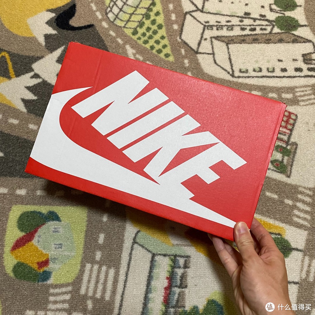 密歇根配色Nike Dunk Low Retro