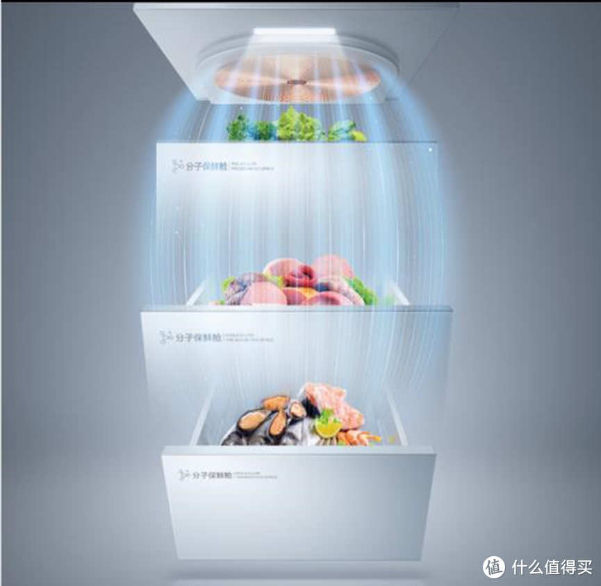 TCL格物冰箱Q10上市，"变温区"成了高端冰箱的标配？
