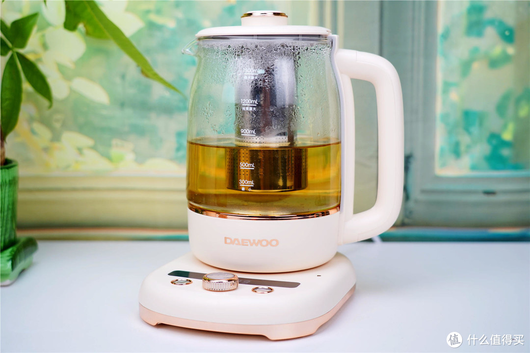 温奶、煮茶，炖盅，燕窝，一壶搞定--大宇养生壶分享 ！