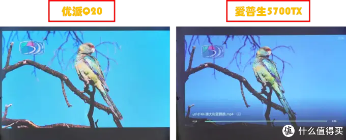 五千价位的传统投影仪对比：优派Q20 vs 爱普生TW5700TX