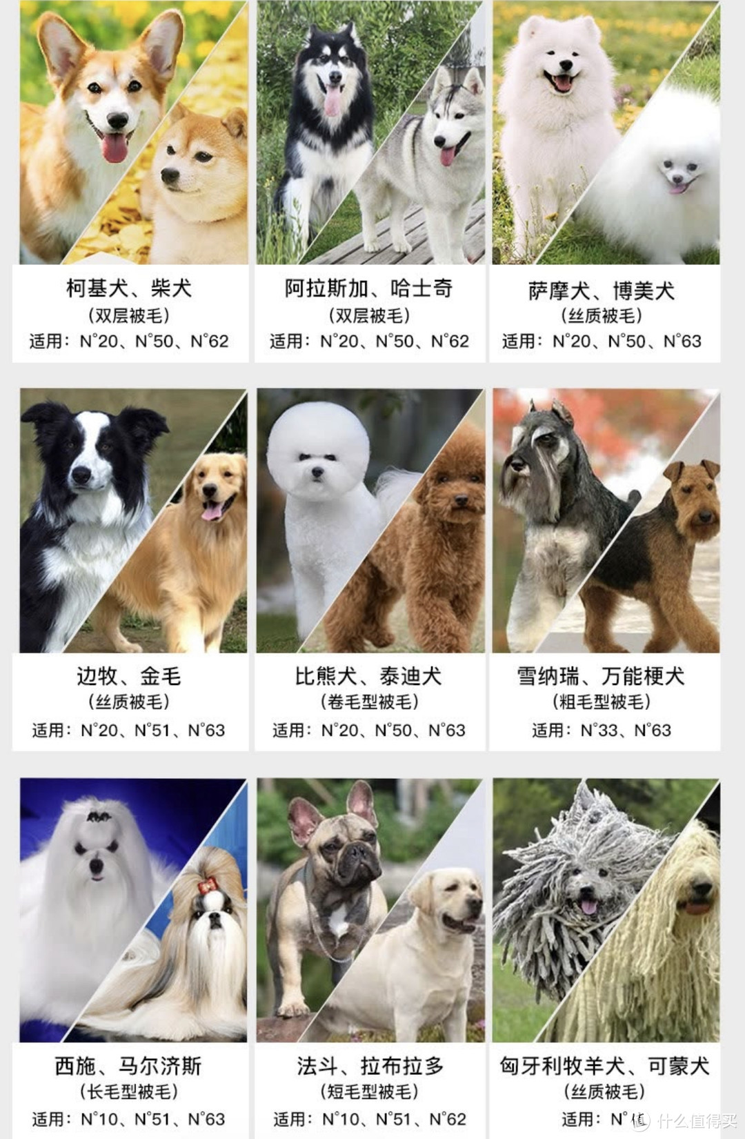 爱犬岛不同狗狗产品型号选择