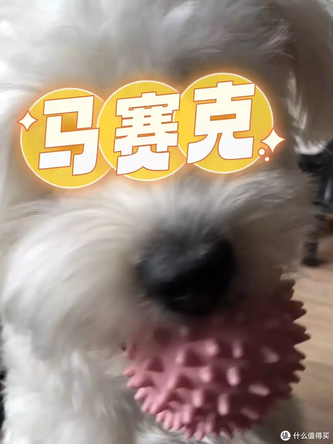 双11囤粮攻略！养狗6年半，买过的平价又有料的犬粮