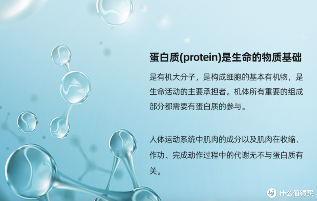 健身为什么要吃蛋白粉？怎么选？怎么吃？Myprotein双11攻略！