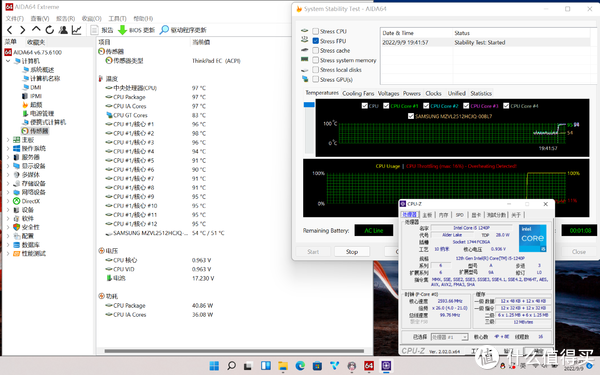 aida64单烤FPU1