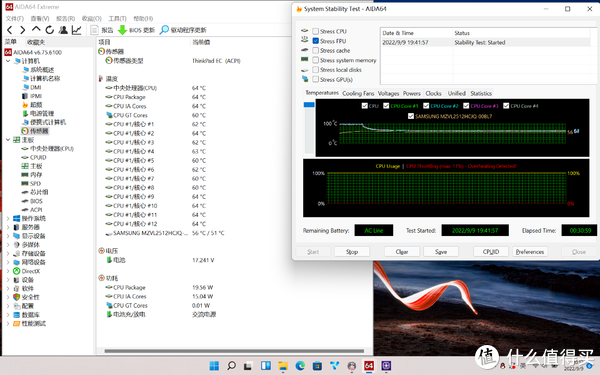 aida64单烤FPU2