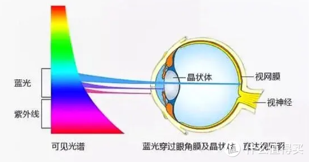 剁手清单：科普篇|“防蓝光”在生活中真的有必要吗？马上告诉你如何科学防蓝光！