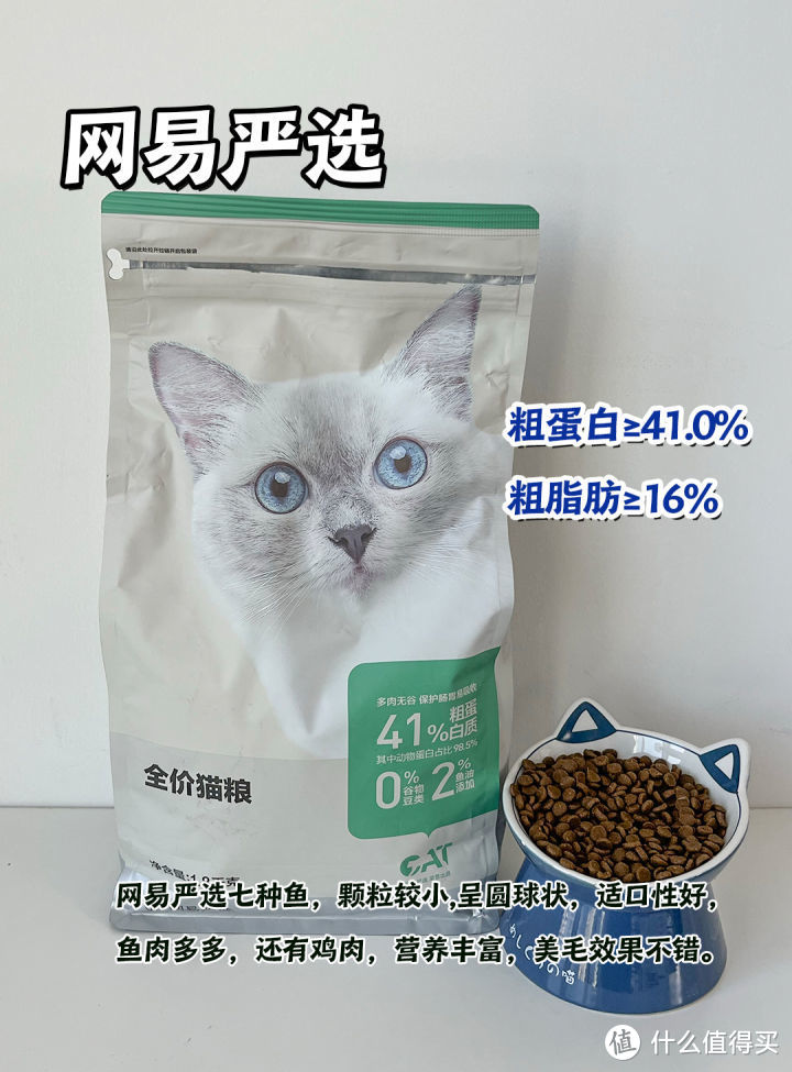  有哪些值得回购的猫粮推荐？