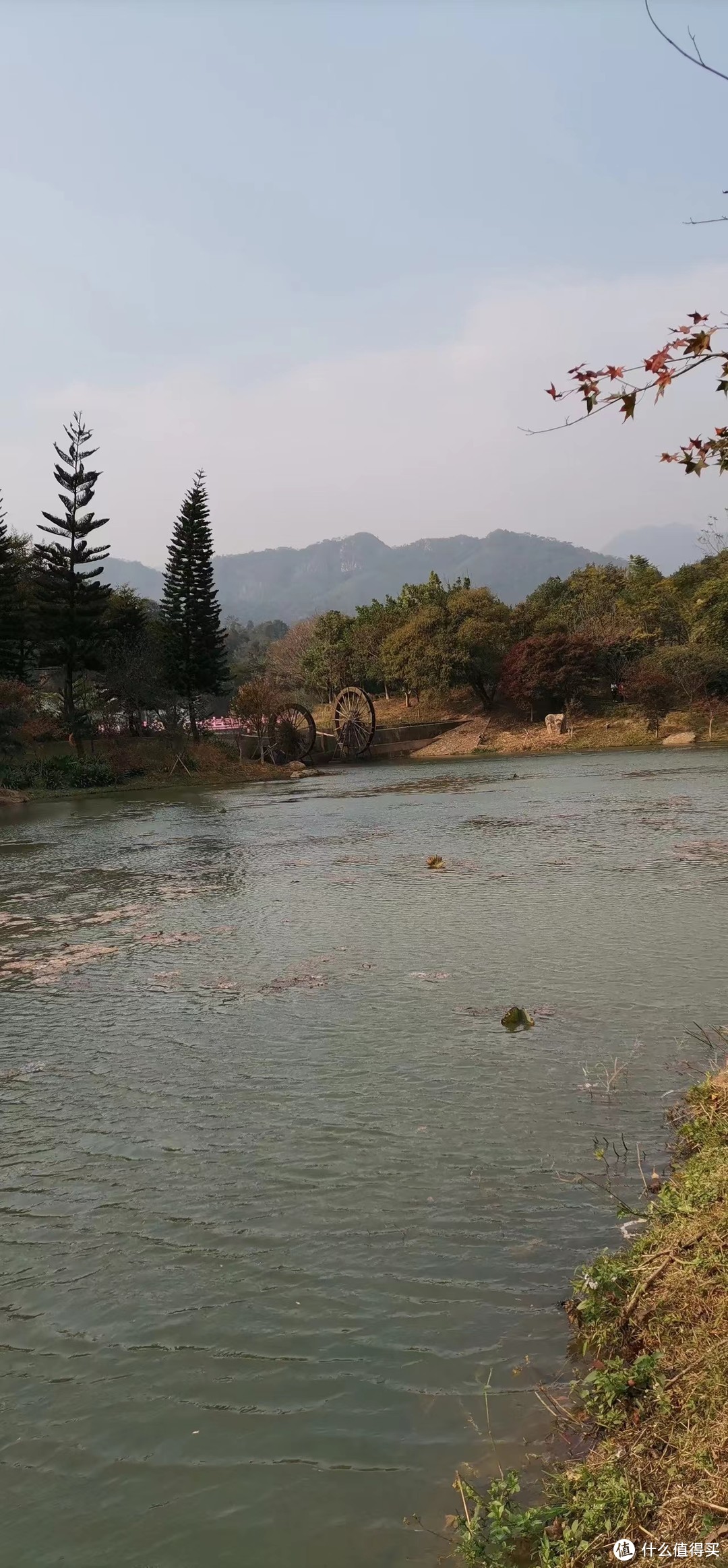 清遠市佛岡縣石角鎮龍南小潭----田野綠世界