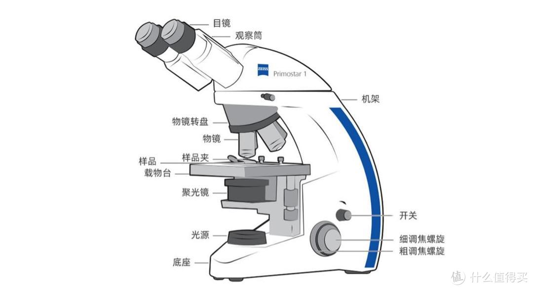 微观新世界的大门，由蔡司显微镜为孩子安排打开