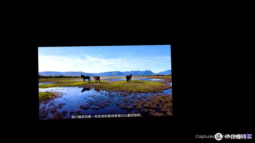 双十一了还在纠结买啥的你，看看这五款好物有没有让你心动