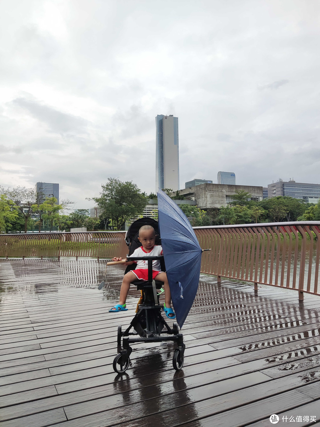 碰到下雨怎么办，只能自己撑伞了。单手推车，一手拿伞，毫无压力，不过不能碰上有大风。